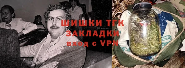 ГАЛЛЮЦИНОГЕННЫЕ ГРИБЫ Арсеньев