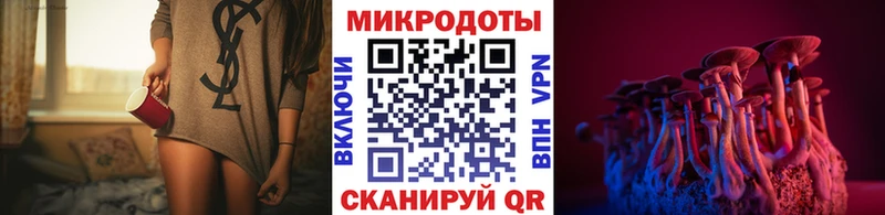 блэк спрут как войти  Холмск  Галлюциногенные грибы Psilocybe 